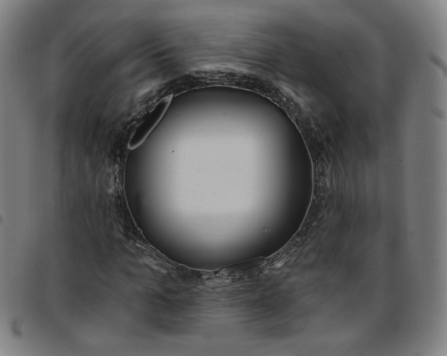 X0000097510965200803071821