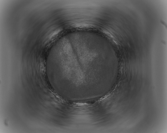 X0000097510966200803071821