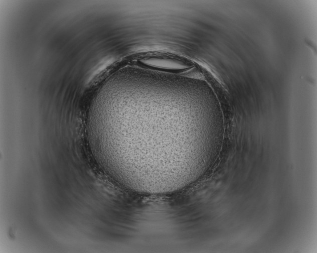 X0000097510967200803071821