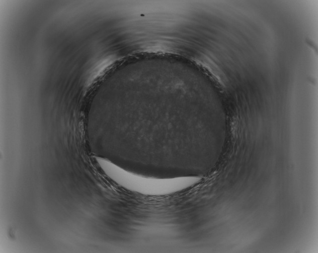 X0000097510968200803071821