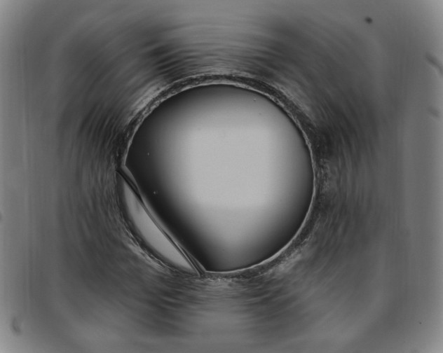 X0000097510969200803071821