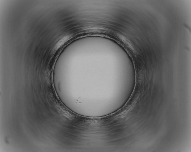 X0000097510970200803071821