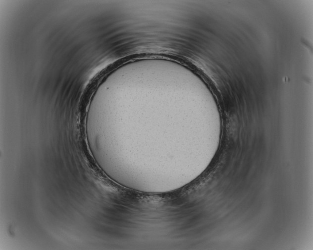 X0000097510971200803071821