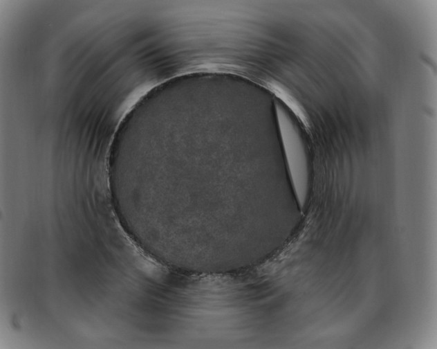 X0000097510972200803071821