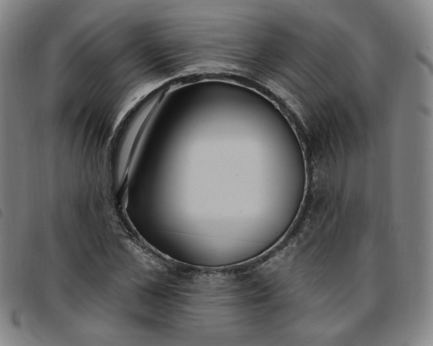 X0000097510973200803071821