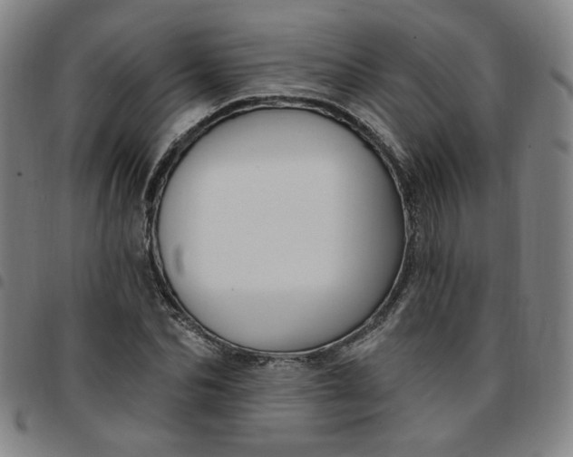 X0000097510974200803071821