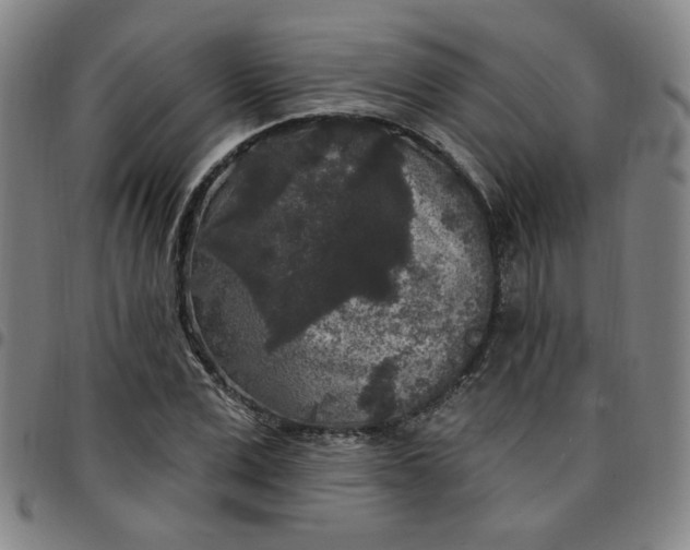 X0000097510975200803071821