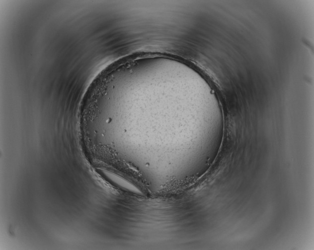 X0000097510976200803071821