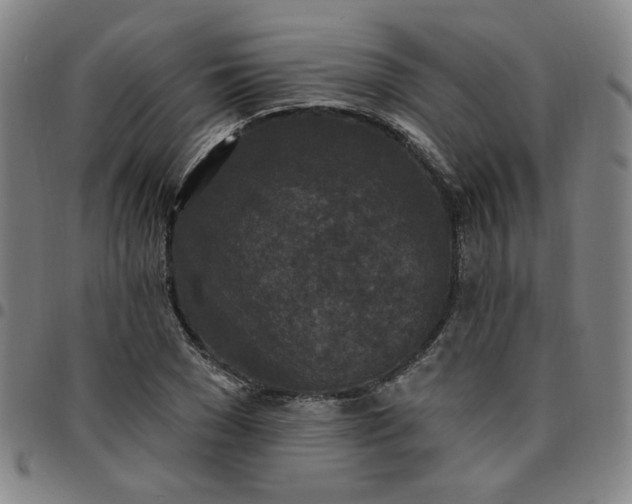 X0000097510977200803071820