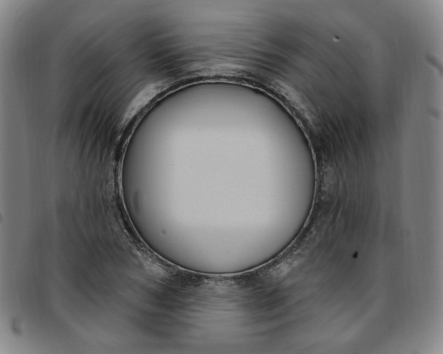 X0000097510978200803071820