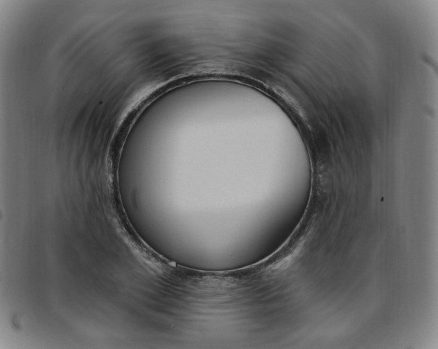 X0000097510981200803071820