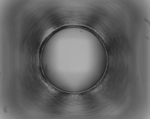 X0000097510982200803071820