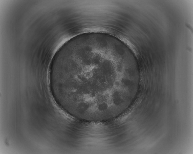 X0000097510983200803071820