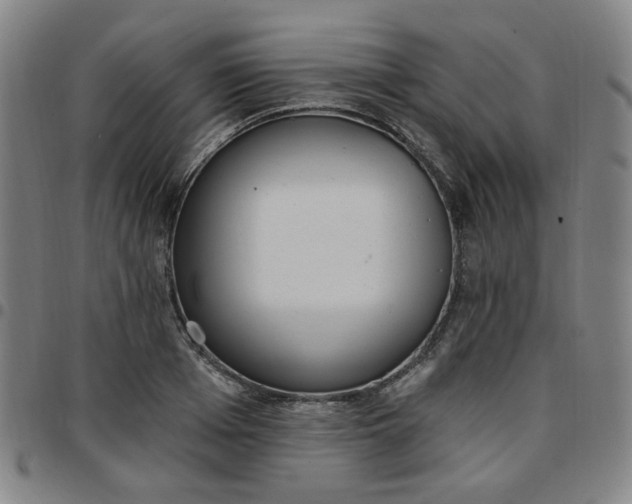 X0000097510985200803071820