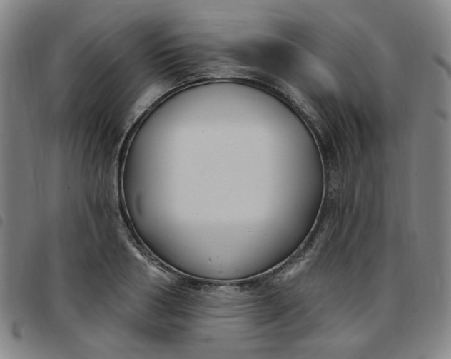 X0000097510986200803071820