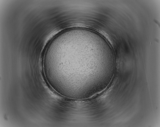 X0000097510987200803071820