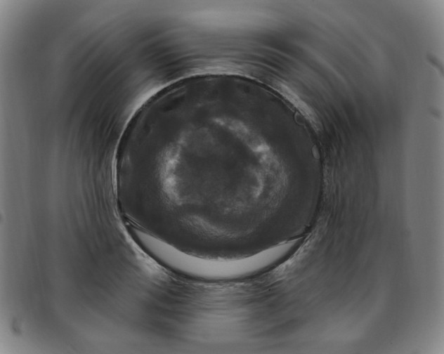 X0000097510988200803071820