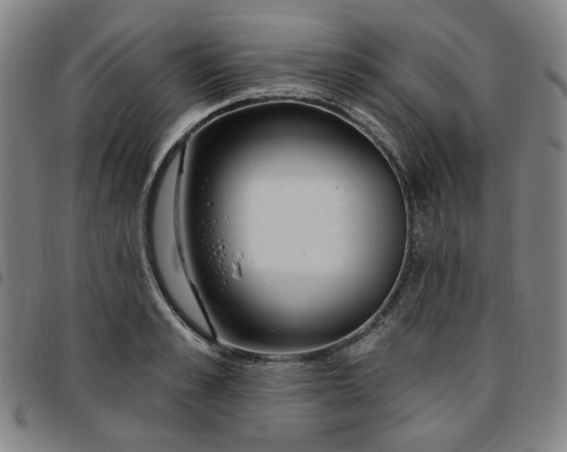 X0000097510989200803071820