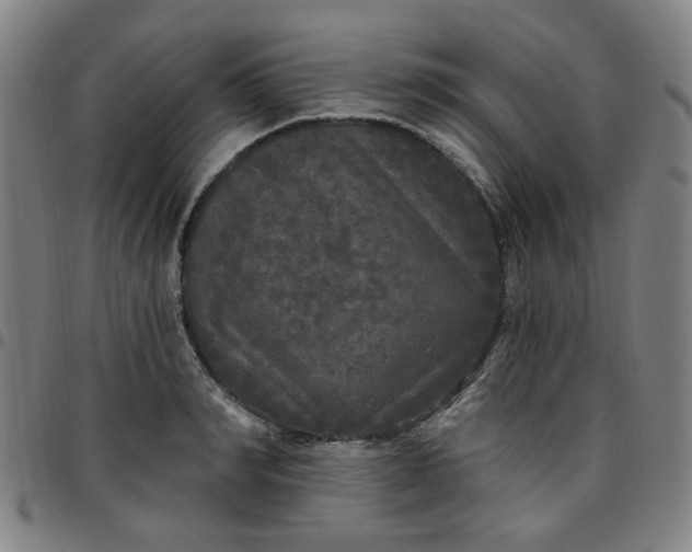 X0000097510990200803071820