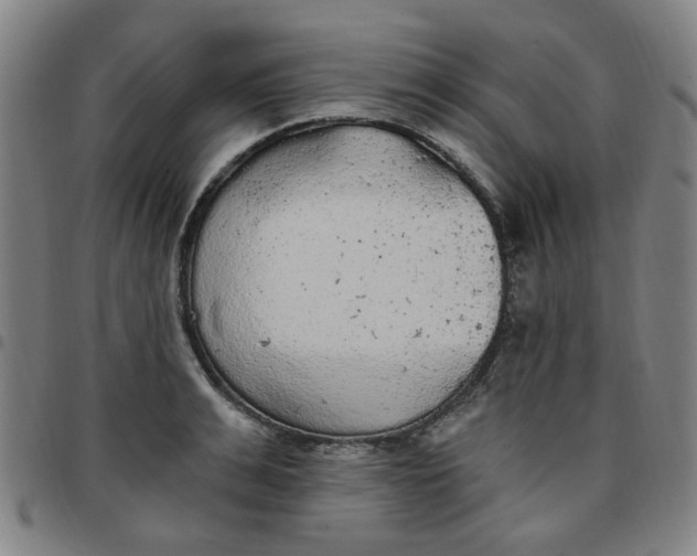 X0000097510991200803071820