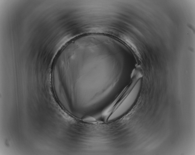 X0000097510992200803071820