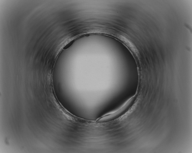 X0000097510993200803071820