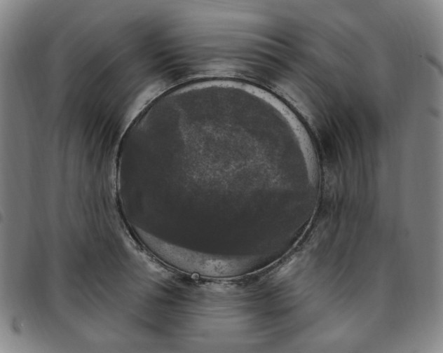 X0000097510994200803071820