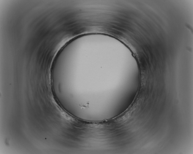 X0000097510996200803071820