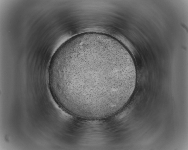 X0000097510999200803071820