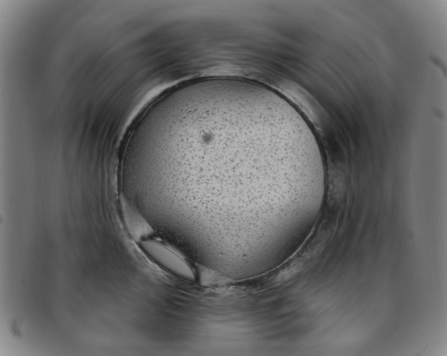 X0000097511000200803071820