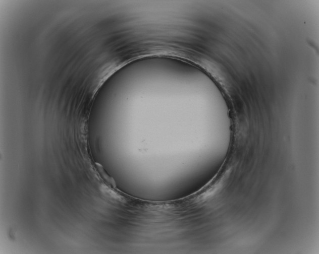 X0000097511001200803071820