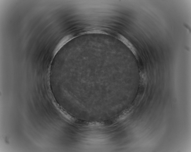 X0000097511002200803071820