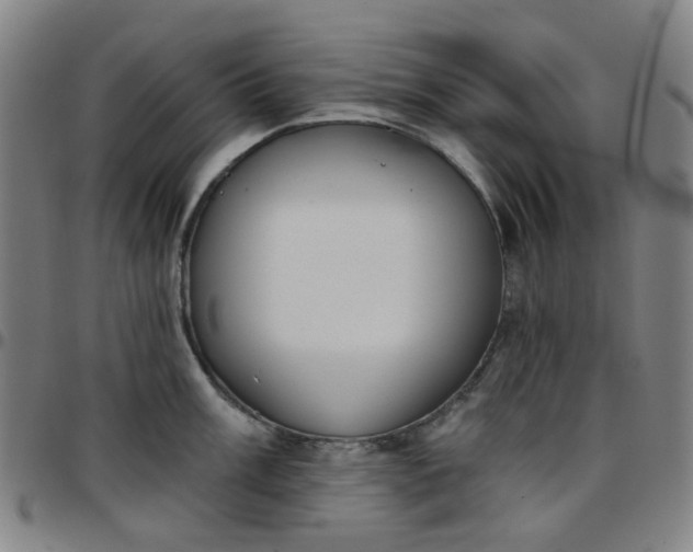 X0000097511003200803071820