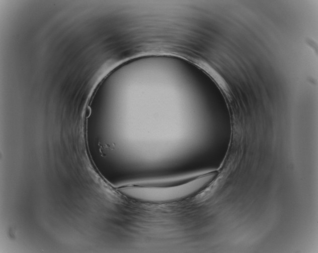 X0000097511004200803071820