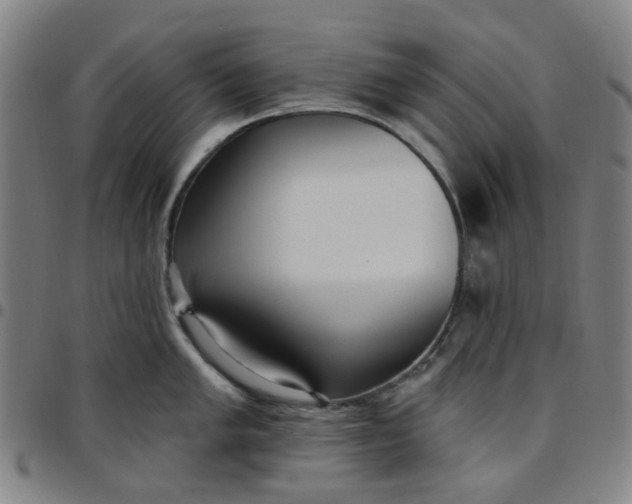 X0000097511005200803071820