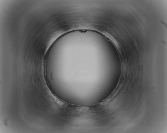 X0000097511006200803071820