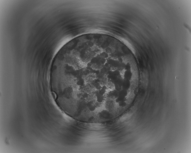 X0000097511007200803071820