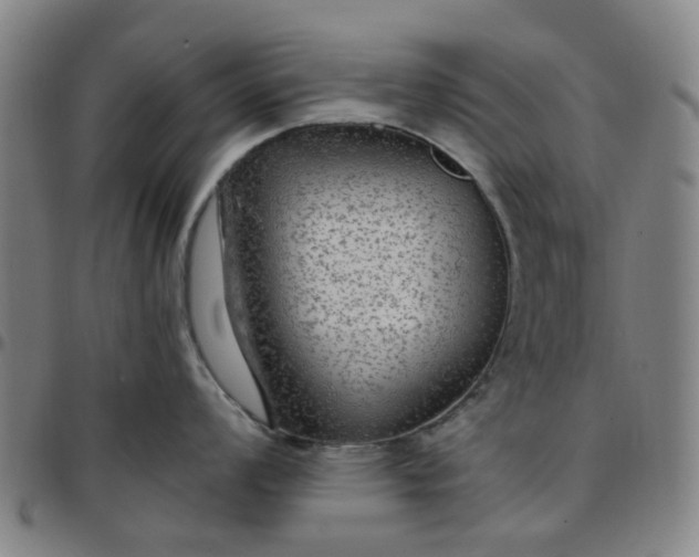 X0000097511008200803071820