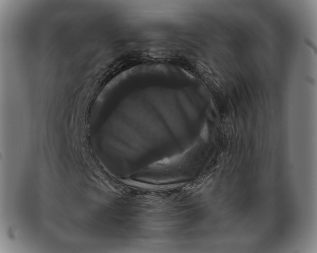 X0000097511009200803071819