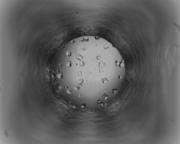 X0000097511010200803071819