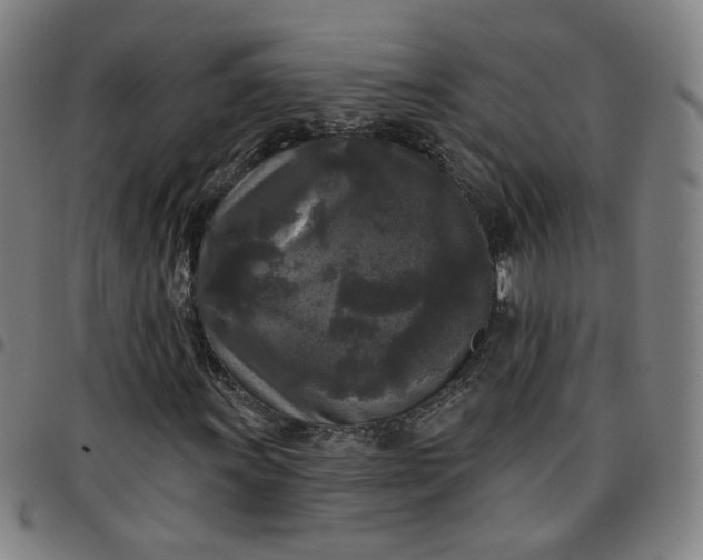 X0000097511011200803071819