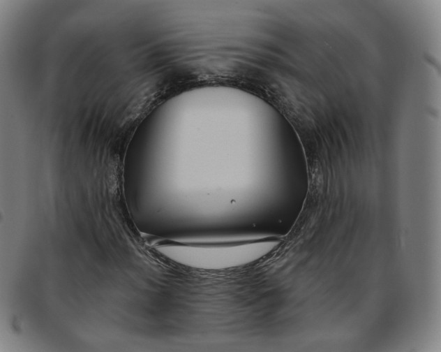 X0000097511012200803071819