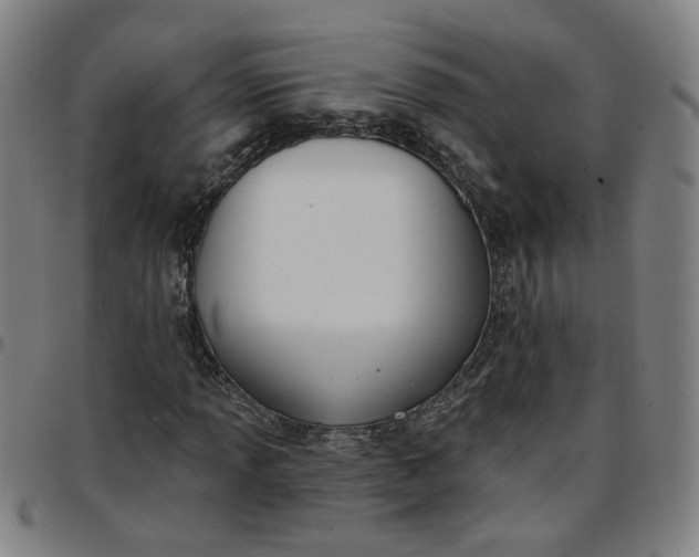 X0000097511013200803071819