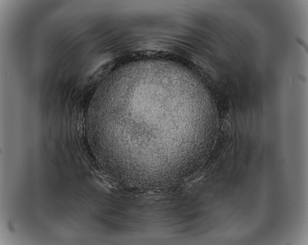 X0000097511014200803071819