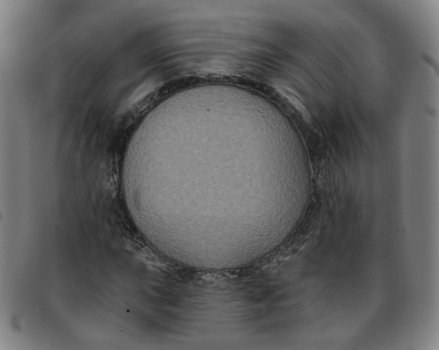 X0000097511015200803071819