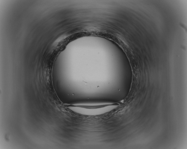 X0000097511016200803071819