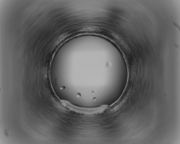 X0000097511017200803071819