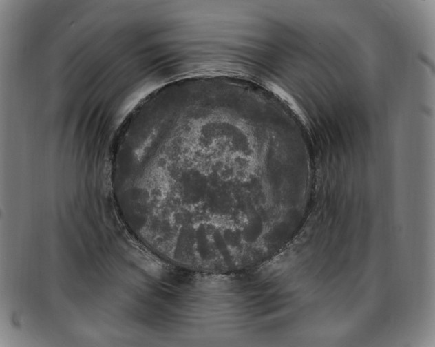 X0000097511019200803071819