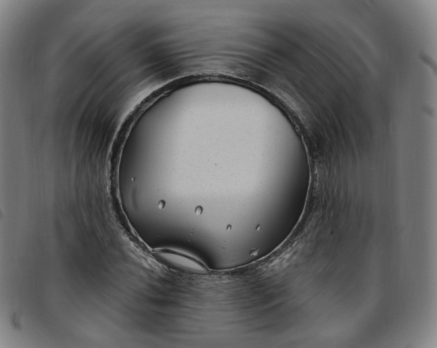 X0000097511020200803071819