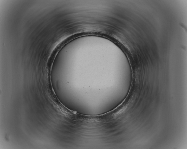 X0000097511021200803071819